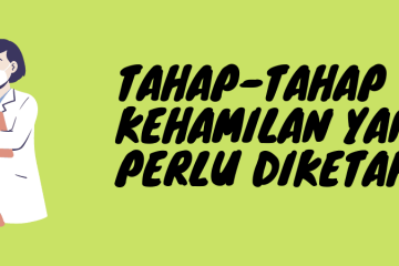 kehamilan