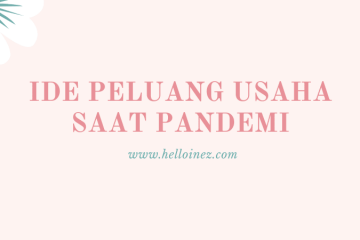 ide peluang usaha