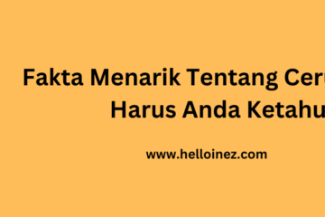 fakta menarik tentang cerutu