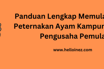 bisnis peternakan ayam kampung