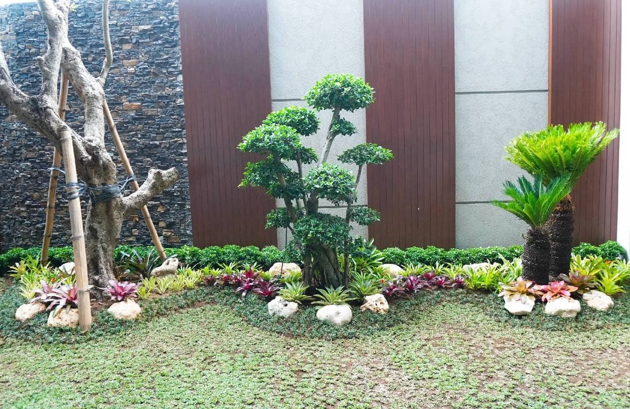 taman dengan bonsai