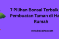 pilihan bonsai terbaik