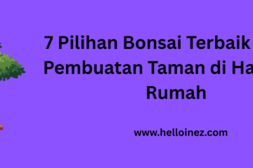 pilihan bonsai terbaik