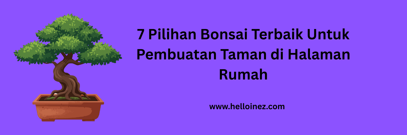 pilihan bonsai terbaik